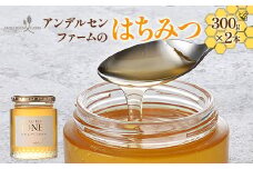 広島アンデルセン　アンデルセンファームのはちみつ（300g×2本セット）