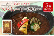 広島アンデルセン　スパイシービーフカレー（芸北りんご入り）5袋セット