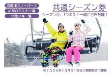 《期間限定》【芸北高原大佐スキー場・恐羅漢スノーパーク・めがひらスキー場】共通シーズン券 2024-2025（大人全日）1枚_HI048_002
