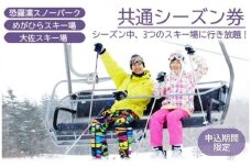 《期間限定》【芸北高原大佐スキー場・恐羅漢スノーパーク・めがひらスキー場】共通シーズン券 2025-2026（大人全日）1枚_HI048_002