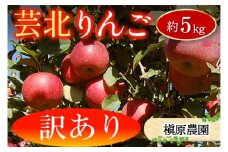 ≪10月中旬以降発送≫ りんご 訳あり ご家庭用 約5kg 槇原農園の芸北りんご 農家直送 シナノスイート ぐんま名月 シナノゴールド ふじ_MA077_002