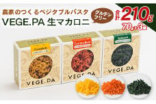 農家のつくるベジタブルパスタ VEGE.PA 生マカロニ3種セット