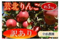 ≪10月中旬以降発送≫ りんご 訳あり ご家庭用 約5kg 中前農園の芸北りんご 農家直送 シナノスイート ぐんま名月 ジョナゴールド ふじ_NA099_002