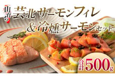 芸北産 山育ち サーモンフィレ＆冷燻サーモンセット