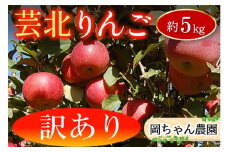 ≪10月中旬以降発送≫ りんご 訳あり ご家庭用 約5kg 岡ちゃん農園の芸北りんご 農家直送 夢つがる 秋映 とき すわっこ シナノスイート 陽光 ぐんま名月 シナノゴールド ふじ_OK066_003