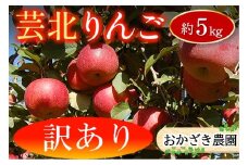 ≪10月中旬以降発送≫ りんご 訳あり ご家庭用 5kg おかざき農園の芸北りんご 農家直送 秋ばえ 陽光 ぐんま名月 あいかの香り ふじ_OK097_002