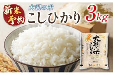 ≪新米予約受付中!!≫ 栄ファーム 大朝の米こしひかり 精米3kg 2025年産米 数量限定 米どころ北広島町のおいしいお米 10月初旬発送_SA091_002