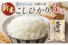 ≪新米予約受付中!!≫ 栄ファーム 大朝の米こしひかり 精米3kg 2025年産米 米どころ北広島町のおいしいお米 10月初旬発送_SA091_002