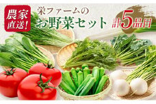 農家直送！栄ファームのお野菜セット
