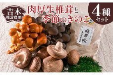 吉木椎茸農園　肉厚生椎茸と季節のきのこセット