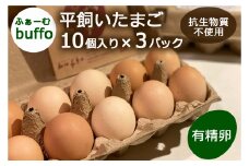 ふぁーむbuffoの平飼いたまご 30個_FA090_001