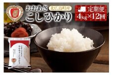 『定期便』3-R おおあさ こしひかり 1kg×4袋 全12回