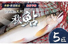 《先行予約》 鮎 アユ 天然 冷凍 5匹 秋あゆ 落ち鮎 広島 江の川の天然鮎 簗漁鮎 季節限定 9月発送_KA088_001