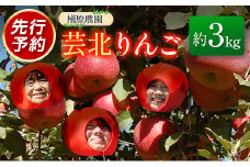 りんご 国産 3kg 農家直送 槇原農園 芸北りんご 林檎 トキ 早生ふじ 千秋 シナノドルチェ シナノスイート ぐんま名月 シナノゴールド ふじ_MA077_001