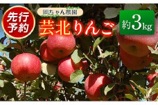 りんご 国産 3kg 農家直送 岡ちゃん農園 芸北りんご 林檎 夢つがる 秋映 とき すわっこ シナノスイート 陽光 ぐんま名月 シナノゴールド ふじ_OK066_001