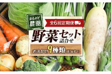 『定期便』全6回 野菜セット 詰め合わせ まるみど農園の季節のお野菜便 毎月 9種類 旬 農家直送 国産 送料無料_MA105_001s6