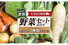 『定期便』全3回 野菜セット 詰め合わせ まるみど農園の季節のお野菜便 毎月 9種類 旬 農家直送 国産 送料無料_MA105_001s3