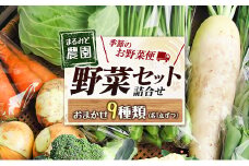 野菜セット 詰め合わせ まるみど農園の季節のお野菜便 農薬使わずに育ててます 9種類 旬 農家直送 国産 送料無料_MA105_001