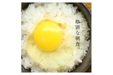 たまごかけごはん 平飼い卵 四ツ葉農場の絶品たまごかけごはんセット 霜降りたまご＋あすなろの北広島町産米こしひかり_YO019_008