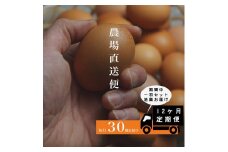 『定期便』四ツ葉農場の霜降りたまご「きみがスター」30個全12回＋地鶏1羽付き_YO019_007s12