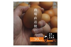 『定期便』四ツ葉農場の霜降りたまご「きみがスター」30個　全6回_YO019_003s6