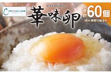 卵 ちよだファームのたまご 華味卵 はなみらん 60個（50個＋割れ補償10個）_FR109_001