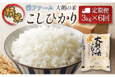 『定期便』全6回 コシヒカリ 精米 3kg 大朝の米こしひかり 栄ファーム 毎月届く定期便 米どころ北広島町のおいしいお米_SA091_002s6