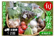 『定期便』全12回 野菜 おまかせセット 毎月届く定期便 旬 道の駅直送 季節野菜 豊平どんぐり村 さんさん市_SA073_001s12