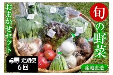 『定期便』全6回 野菜 おまかせセット 毎月届く定期便 旬 道の駅直送 季節野菜 豊平どんぐり村 さんさん市_SA073_001s6