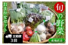 『定期便』全3回 野菜 おまかせセット 毎月届く定期便 旬 道の駅直送 季節野菜 豊平どんぐり村 さんさん市_SA073_001s3