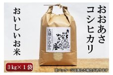 コシヒカリ 精米 3kg おおあさコシヒカリ わさ～る産直館 米どころ北広島町のおいしいお米_WA012_004