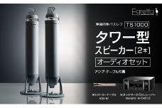 オーディオ スピーカー アンプ セット Egretta エグレッタ TS1000 無指向性バスレフ・タワー型スピーカー オオアサ電子 全方位 無指向性 スピーカー Marantz ネットワークCDレシーバー M-CR612_OE025_016