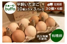 『定期便』全6回 卵 平飼い 30個 ふぁーむbuffo 毎月届く定期便_FA090_001s6