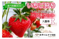 いちご狩りチケット 豊平どんぐり農園 65歳以上ペア シニア2名分 30分食べ放題 広島県北広島町_TO005_011