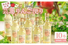 りんごソーダ 芸北りんご便り 炭酸ジュース 200ml 10本_HA095_005