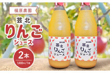 りんごジュース 芸北りんご 槇原農園 果汁100% ストレートジュース 1,000ml 2本_MA077_003