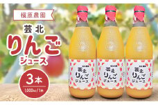 りんごジュース 芸北りんご 槇原農園 果汁100% ストレートジュース 1,000ml 3本_MA077_004