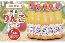 りんごジュース 芸北りんご 槇原農園 果汁100% ストレートジュース 1,000ml 5本_MA077_005
