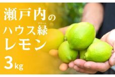 瀬戸内のハウスグリーン レモン約3kg 8〜9月発送 皮まで丸ごと食べられる ワックス不使用 防腐剤不使用 安心 広島 大崎上島 せとうち 檸檬 柑橘 ギフト 贈答 ビタミンC クエン酸 岩﨑農園