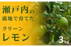 瀬戸内の露地 グリーンレモン 約3kg 10〜11月発送 皮まで丸ごと食べられる ワックス不使用 防腐剤不使用 フルーツ レモン 広島 大崎上島 せとうち 檸檬 柑橘 健康 ビタミンC クエン酸 岩﨑農園