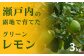 『岩﨑農園』露地グリーンレモン