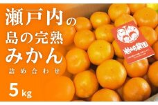 瀬戸内 島の 完熟 みかん 詰め合わせ 約5kg 12月発送開始 広島 大崎上島 瀬戸内 離島 濃厚 甘い 柑橘 フルーツ ミカン 贈答用 ギフト 産地直送 岩崎農園 