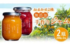 岩﨑農園 無添加 手作り ジャム 200g 2本 広島県 大崎上島町 瀬戸内 離島 農家 完全受注生産 新鮮 フレッシュ フルーツ いちじく みかん いちご ブルーベリー キウイ 果物 詰め合わせ パン
