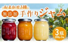 岩﨑農園 無添加 手作り ジャム 200g 3本 広島県 大崎上島町 瀬戸内 離島 農家 完全受注生産 新鮮 フレッシュ フルーツ いちじく みかん いちご ブルーベリー キウイ 果物 詰め合わせ パン