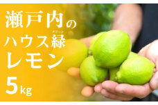 瀬戸内のハウスグリーン レモン約5kg 8〜9月発送 皮まで丸ごと食べられる ワックス不使用 防腐剤不使用 安心 広島 大崎上島 せとうち 檸檬 柑橘 ギフト 贈答 ビタミンC クエン酸 岩﨑農園