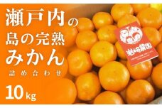 瀬戸内 島の 完熟 みかん 詰め合わせ 約10kg 12月発送開始 広島 大崎上島 瀬戸内 離島 濃厚 甘い 柑橘 フルーツ ミカン 贈答用 ギフト 産地直送 岩崎農園 