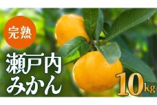 瀬戸内 島の 完熟 みかん 詰め合わせ 約10kg 12月発送開始 広島 大崎上島 瀬戸内 離島 濃厚 甘い 柑橘 フルーツ 果物 くだもの お取り寄せ ミカン 贈答用 ギフト 産地直送 岩崎農園 