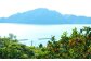 みかん畑は瀬戸内海を見渡す高台にあります。