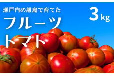 [今期分出荷開始] 瀬戸内のフルーツトマト 3kg 国産 瀬戸内 せとうち 広島 大崎上島 離島 濃厚 トマト 糖度8度以上