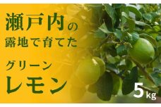 瀬戸内の露地 グリーンレモン 約5kg 10〜11月発送 皮まで丸ごと食べられる ワックス不使用 防腐剤不使用 フルーツ レモン 広島 大崎上島 せとうち 檸檬 柑橘 健康 ビタミンC クエン酸 岩﨑農園
